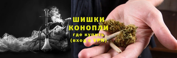 Альфа ПВП Инсар