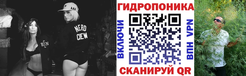 Шишки марихуана индика  где купить наркотик  Алдан 